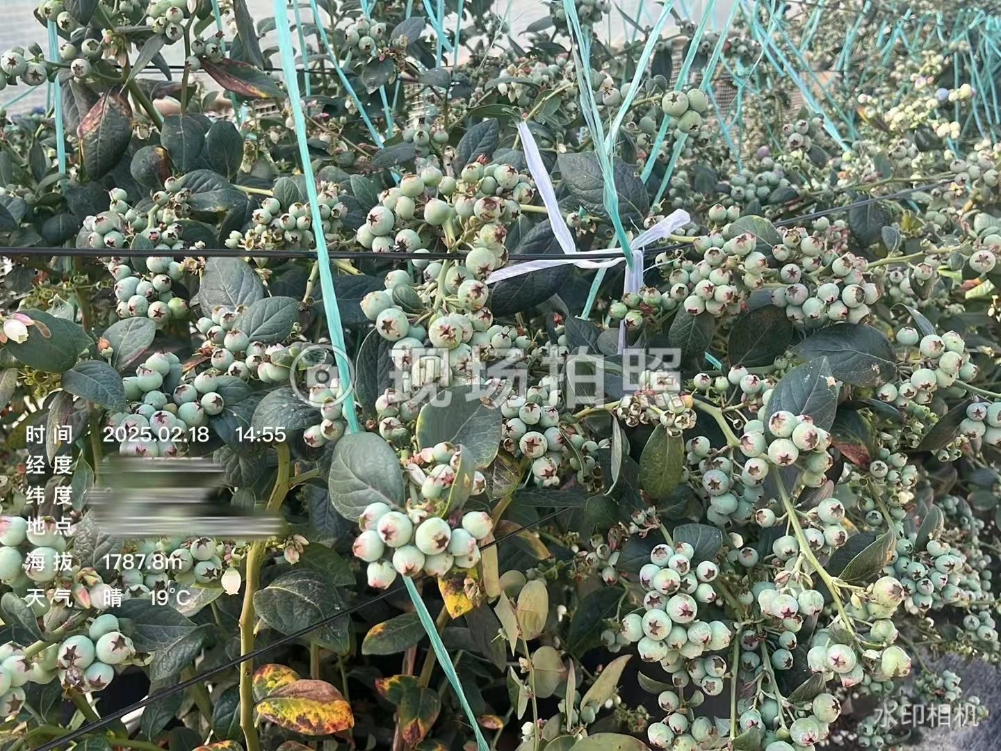 1ddbb5faedc6095321ba1a2768b5b148.jpg 1ddbb5faedc6095321ba1a2768b5b148.jpg